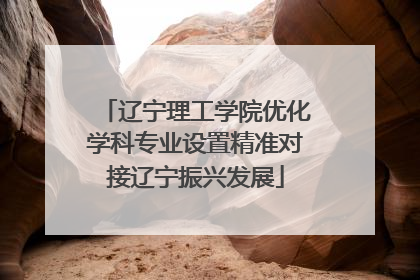 辽宁理工学院优化学科专业设置精准对接辽宁振兴发展