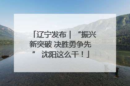 辽宁发布｜“振兴新突破 决胜勇争先” 沈阳这么干！