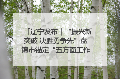 辽宁发布｜“振兴新突破 决胜勇争先”盘锦市锚定“五方面工作”力争全年地区生产总值增长5.5%左右