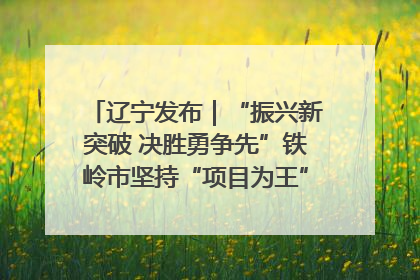 辽宁发布｜“振兴新突破 决胜勇争先”铁岭市坚持“项目为王”推进经济高质量发展