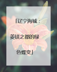 辽宁海城：菱镁之都的绿色蝶变