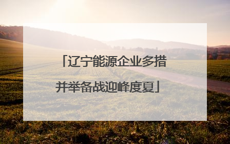 辽宁能源企业多措并举备战迎峰度夏