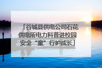 谷城县供电公司石花供电所电力科普进校园安全“童”行护成长