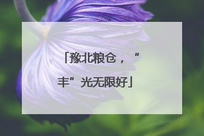 豫北粮仓，“丰”光无限好