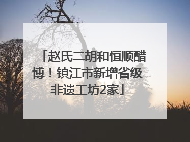 赵氏二胡和恒顺醋博！镇江市新增省级非遗工坊2家