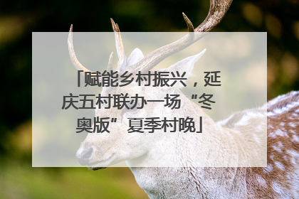 赋能乡村振兴，延庆五村联办一场“冬奥版”夏季村晚