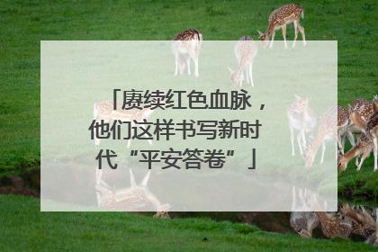 赓续红色血脉，他们这样书写新时代“平安答卷”