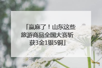 赢麻了！山东这些旅游商品全国大赛斩获3金1银5铜
