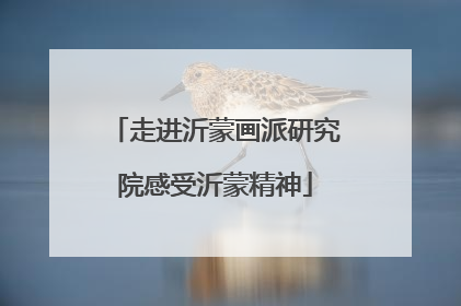 走进沂蒙画派研究院感受沂蒙精神