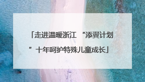 走进温暖浙江 “添翼计划”十年呵护特殊儿童成长