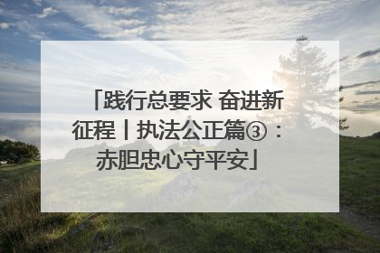 践行总要求 奋进新征程丨执法公正篇③：赤胆忠心守平安