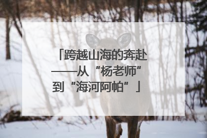 跨越山海的奔赴——从“杨老师”到“海河阿帕”