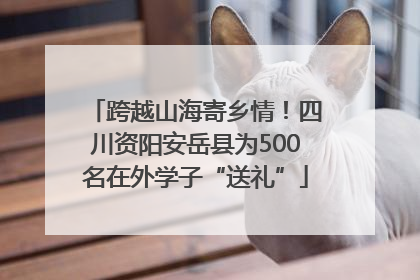 跨越山海寄乡情！四川资阳安岳县为500名在外学子“送礼”