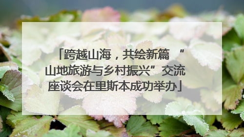 跨越山海，共绘新篇 “山地旅游与乡村振兴”交流座谈会在里斯本成功举办