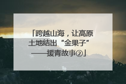 跨越山海，让高原土地结出“金果子”——援青故事②