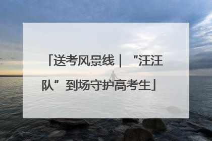 送考风景线｜“汪汪队”到场守护高考生