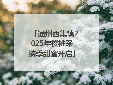 通州西集镇2025年樱桃采摘季甜蜜开启