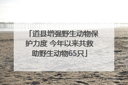 道县增强野生动物保护力度 今年以来共救助野生动物65只