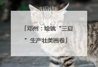 邓州：绘就“三夏”生产壮美画卷