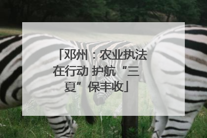 邓州：农业执法在行动 护航“三夏”保丰收