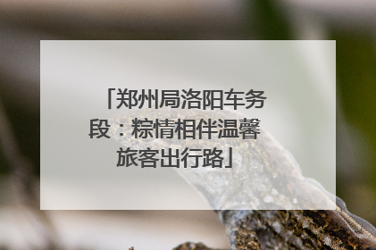 郑州局洛阳车务段：粽情相伴温馨旅客出行路
