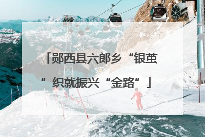 郧西县六郎乡“银茧”织就振兴“金路”