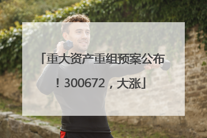 重大资产重组预案公布！300672，大涨