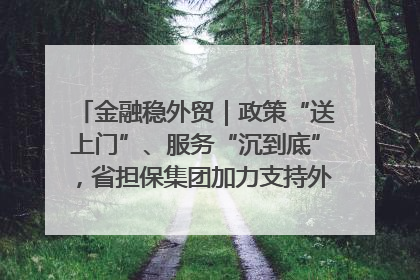 金融稳外贸｜政策“送上门”、服务“沉到底”，省担保集团加力支持外经贸高质量发展
