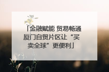 金融赋能 贸易畅通 厦门自贸片区让“买卖全球”更便利