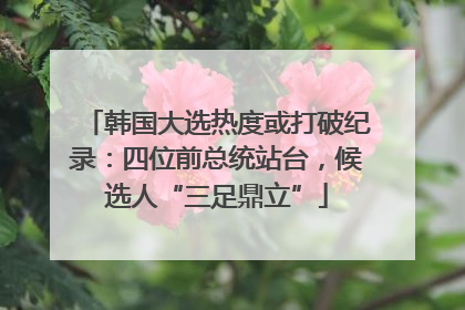 韩国大选热度或打破纪录：四位前总统站台，候选人“三足鼎立”