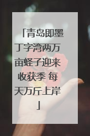 青岛即墨丁字湾两万亩蛏子迎来收获季 每天万斤上岸