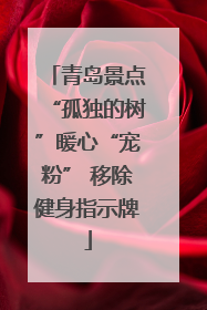 青岛景点“孤独的树”暖心“宠粉” 移除健身指示牌