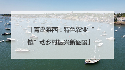 青岛莱西：特色农业“链”动乡村振兴新图景
