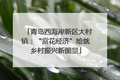 青岛西海岸新区大村镇：“赏花经济”绘就乡村振兴新图景