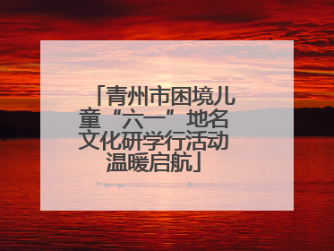 青州市困境儿童“六一”地名文化研学行活动温暖启航