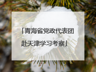 青海省党政代表团赴天津学习考察