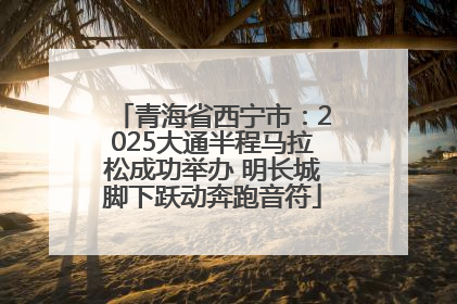 青海省西宁市：2025大通半程马拉松成功举办 明长城脚下跃动奔跑音符