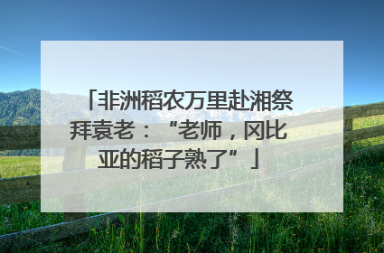 非洲稻农万里赴湘祭拜袁老：“老师，冈比亚的稻子熟了”