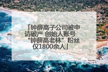 钟薛高子公司被申请破产 创始人账号“钟薛高老林”粉丝仅1800余人