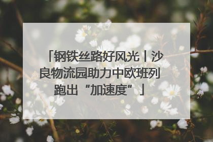 钢铁丝路好风光丨沙良物流园助力中欧班列跑出“加速度”