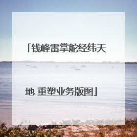 钱峰雷掌舵经纬天地 重塑业务版图
