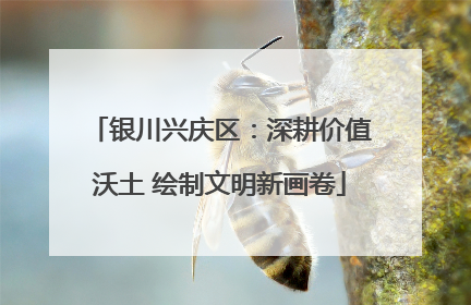 银川兴庆区：深耕价值沃土 绘制文明新画卷