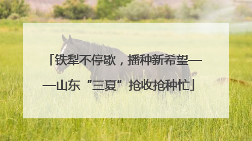 铁犁不停歇，播种新希望——山东“三夏”抢收抢种忙
