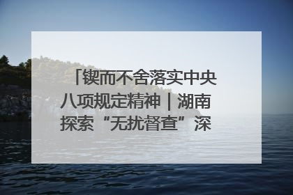 锲而不舍落实中央八项规定精神｜湖南探索“无扰督查”深化基层减负