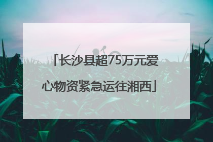 长沙县超75万元爱心物资紧急运往湘西