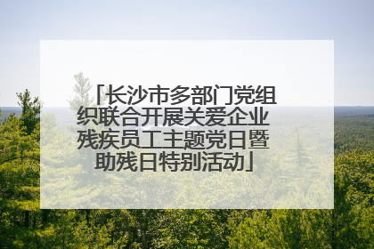 长沙市多部门党组织联合开展关爱企业残疾员工主题党日暨助残日特别活动