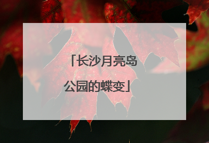 长沙月亮岛公园的蝶变