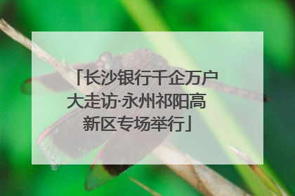 长沙银行千企万户大走访·永州祁阳高新区专场举行