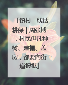 镇村一线话耕保｜周张博：村民但凡种树、建棚、盖房，都要向街道报批