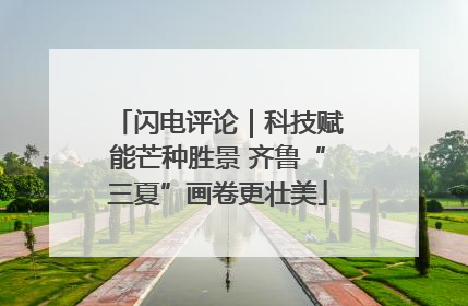 闪电评论｜科技赋能芒种胜景 齐鲁“三夏”画卷更壮美